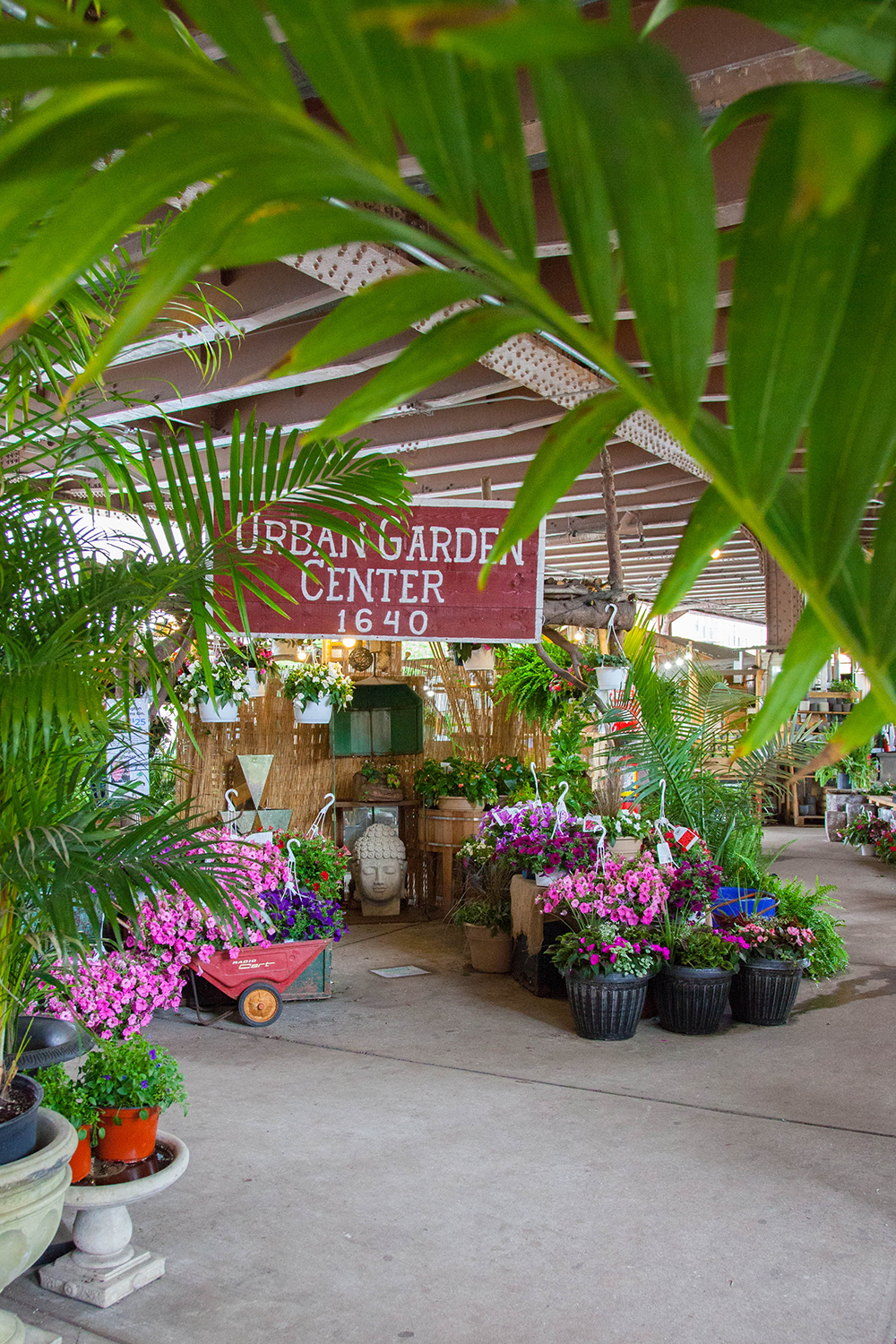 Vibrant entrance of Urban Garden Center at La Marqueta Market with colorful flowers in pots and planters. The sign above reads Urban Garden Center 1640. Lush green leaves frame the top of the image, creating a welcoming and lively atmosphere.